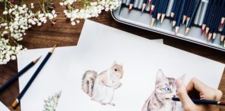 jak narysować wiewiórkę