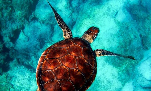 Jak serwisować powłokę ceramiczna?