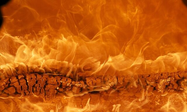 Która marka jest lepsza Kia czy Hyundai?