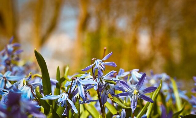 Jakie są hiszpańskie marki samochodów? Jakie są hiszpańskie marki samochodów?