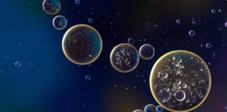 Ile oleju do skrzyni biegów Suzuki Ignis?