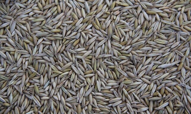 Gdzie jest produkowany Seat Arona? Gdzie jest produkowany Seat Arona?