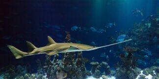 Jaka piła do cięcia profili stalowych?