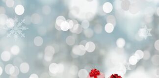 Jaka torba dla elektryka?