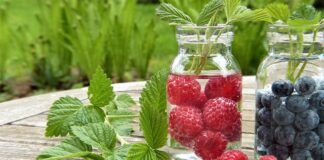 Która saletra lepsza?