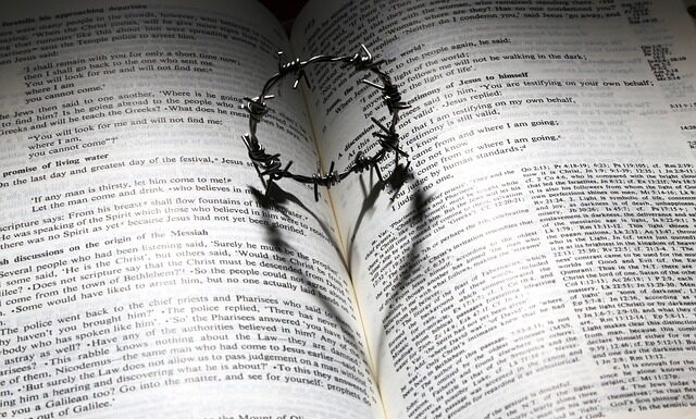 Jakie są rodzaje zbóż? Jakie są rodzaje zbóż?