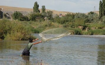 Czy dawać siatkę na XPS?