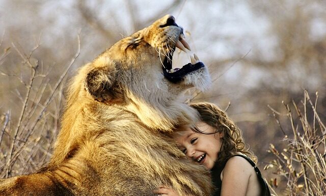 Jaka jest najlepsza firma elektronarzędzi?