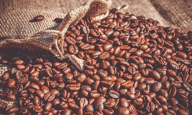 Czy fasola to owoc czy warzywo? Czy fasola to owoc czy warzywo?