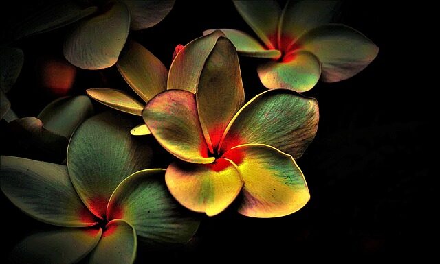 Do czego służy multi tool?