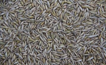 Kto produkuje narzędzia dla Wurth?