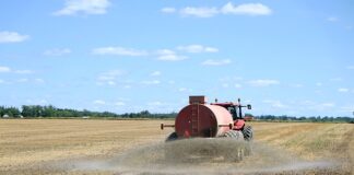 Czy Polska produkuje nawozy sztuczne?