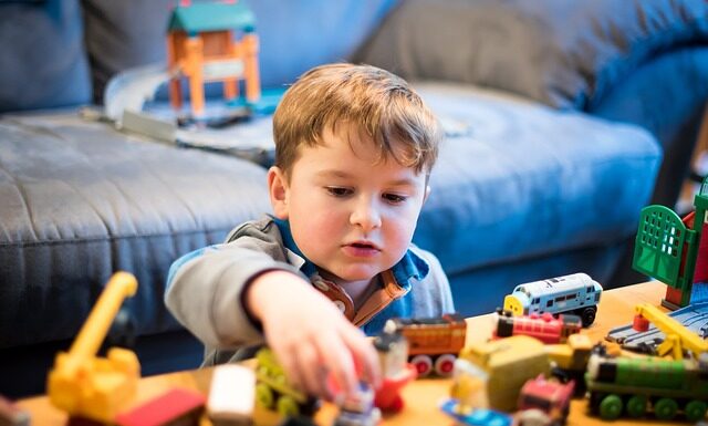 Czy Toya to polska firma?