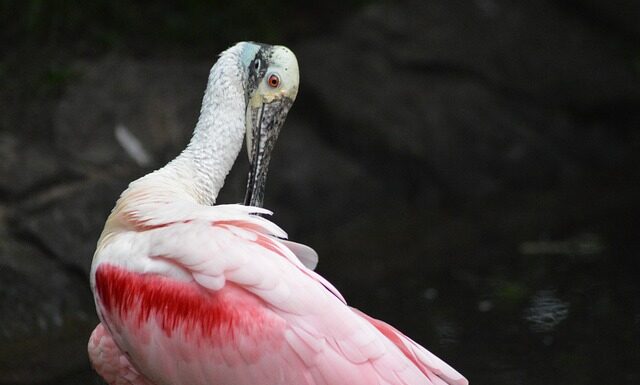 Jak Wygładzić styropian?