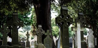 Co zamiast Yara Mila?