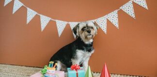 Girlanda dekoracyjna