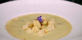 Dlaczego Zdrowa Zupa to więcej niż tylko zupy